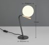Minimalistyczna lampa stołowa nocna szklany klosz kula FLAMING 568900180 TRIO SELECT
